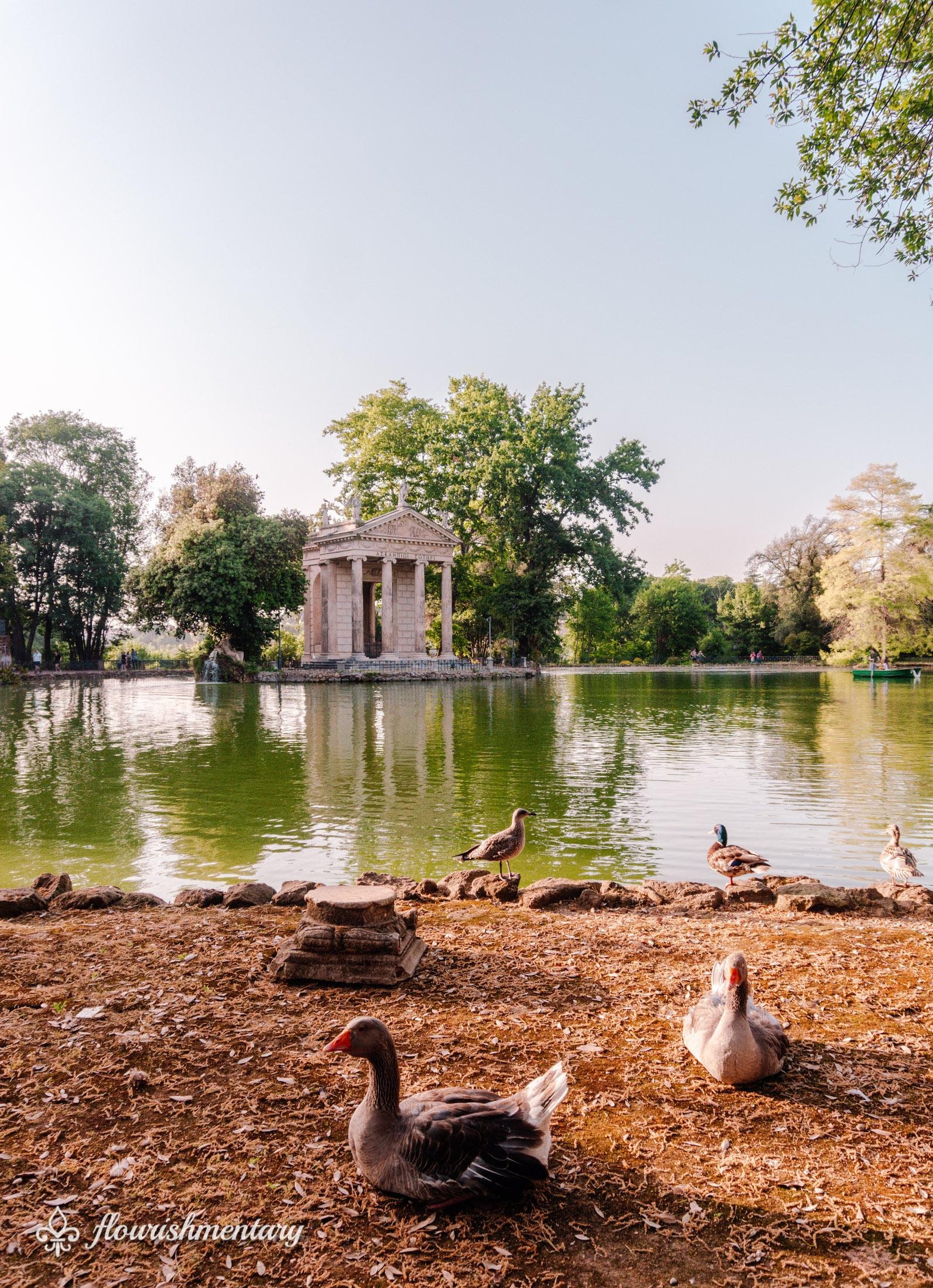 ducks Temple of Aesculapius in Villa Borghese Gardens