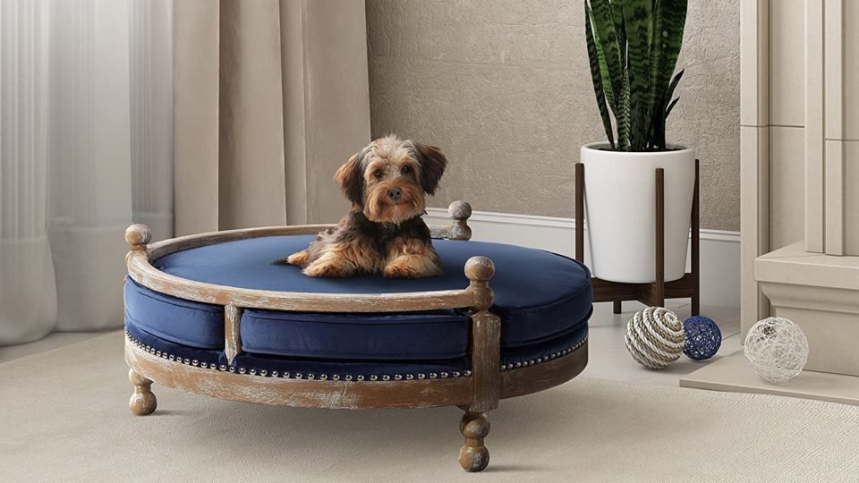 Cute Dog Bed Furniture That Your Pet Will Actually Want To Sleep On