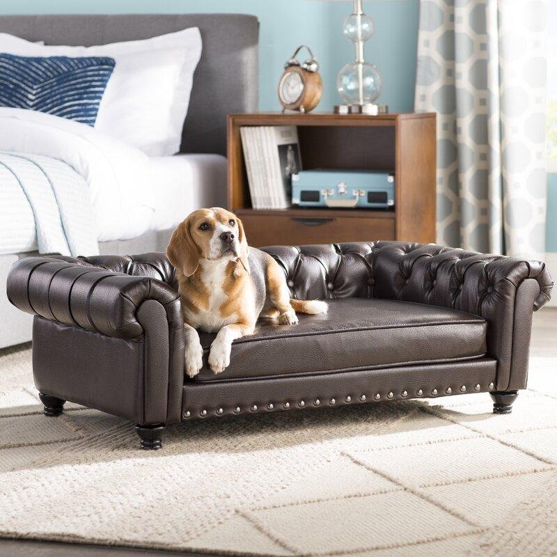 Cornelia shops dog sofa with solid foam cushion