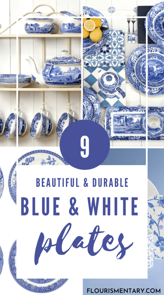 blue and white plates